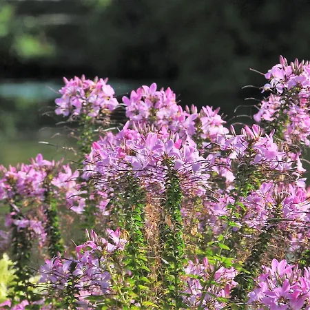 Eberhards Am Wasser Szálloda